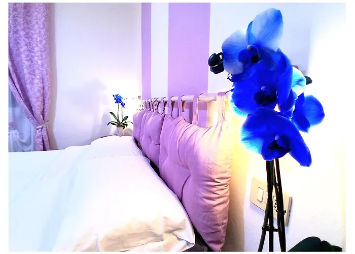 Hotel Le Giare Marina di Pietrasanta