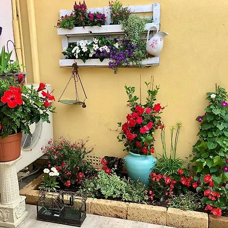 Szálloda Le Giare Marina di Pietrasanta